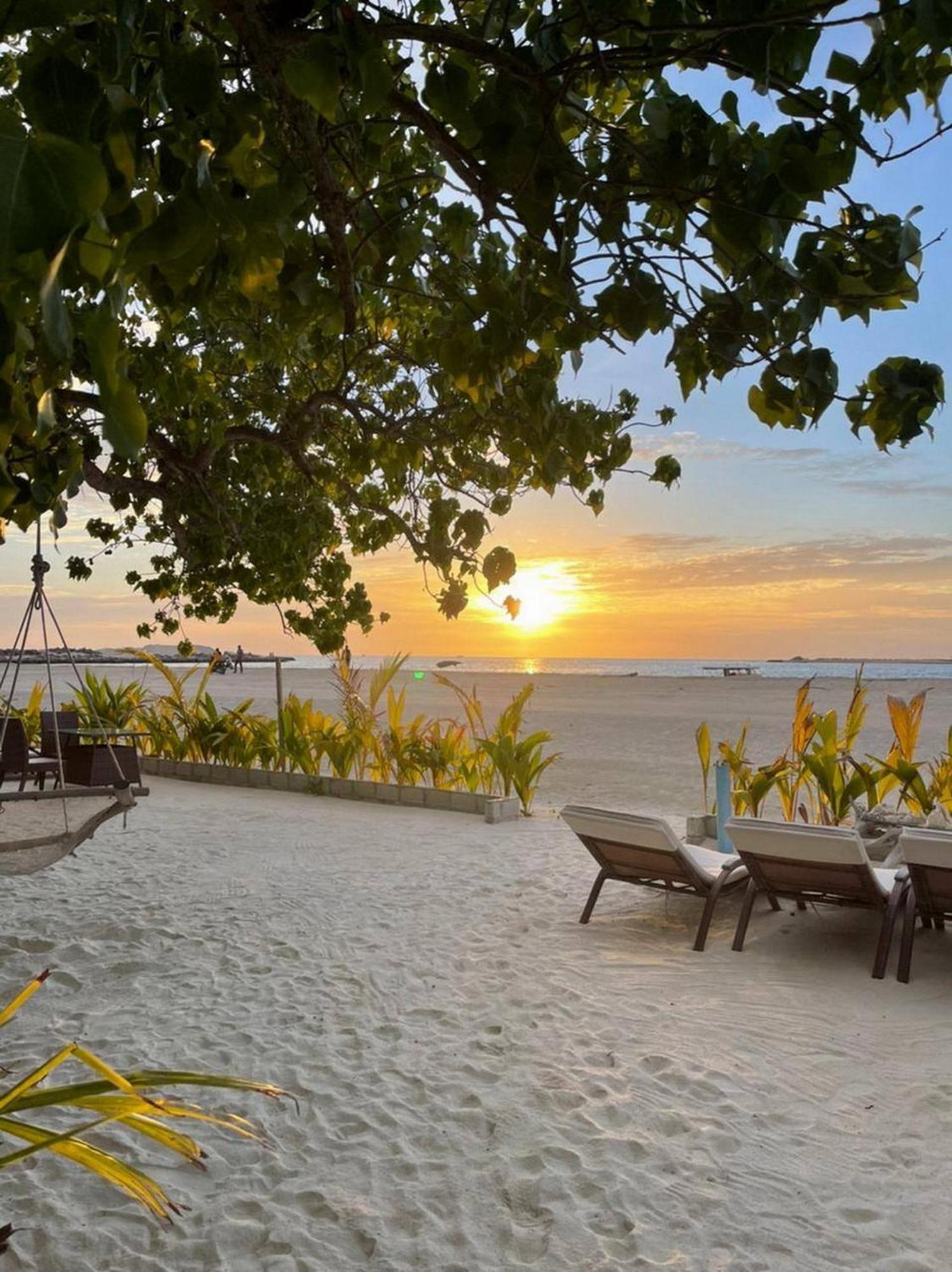 Wind Breeze Sunset View